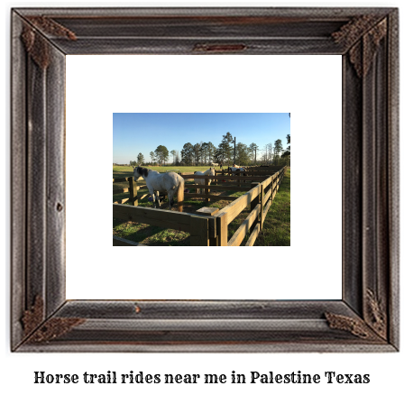 horse trail rides near me in Palestine, Texas